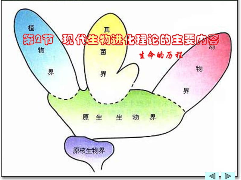 现代生物进化理论的主要内容.ppt_第1页