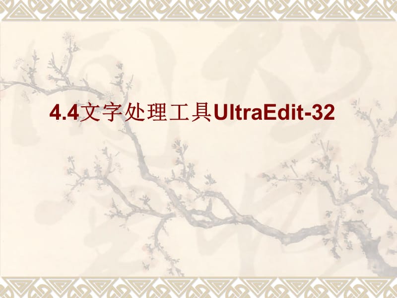 文字處理工具UltraEdit.ppt_第1頁(yè)