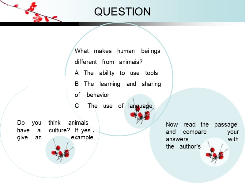 实用英语第七单元课文部分.ppt_第2页