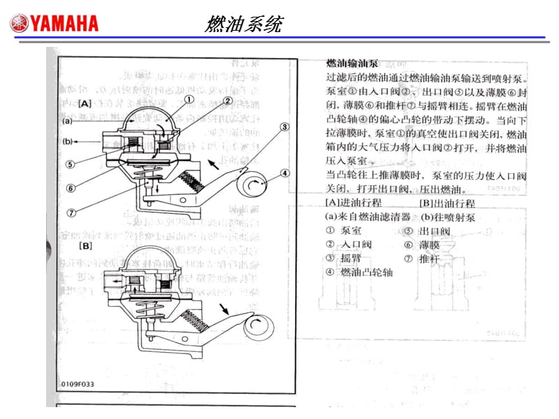 小型柴油发电机燃油系统图解.ppt_第2页