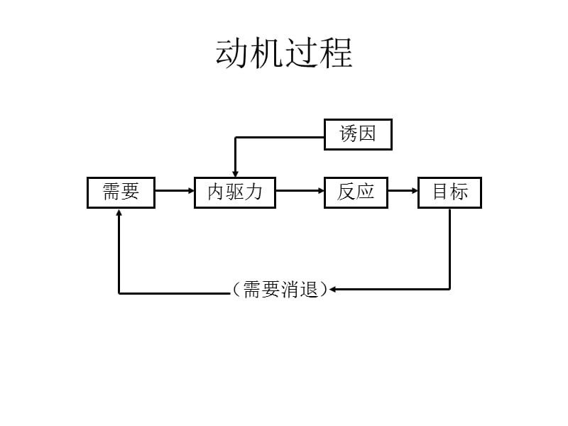 消费者的需要与动机(消费者行为学).ppt_第3页