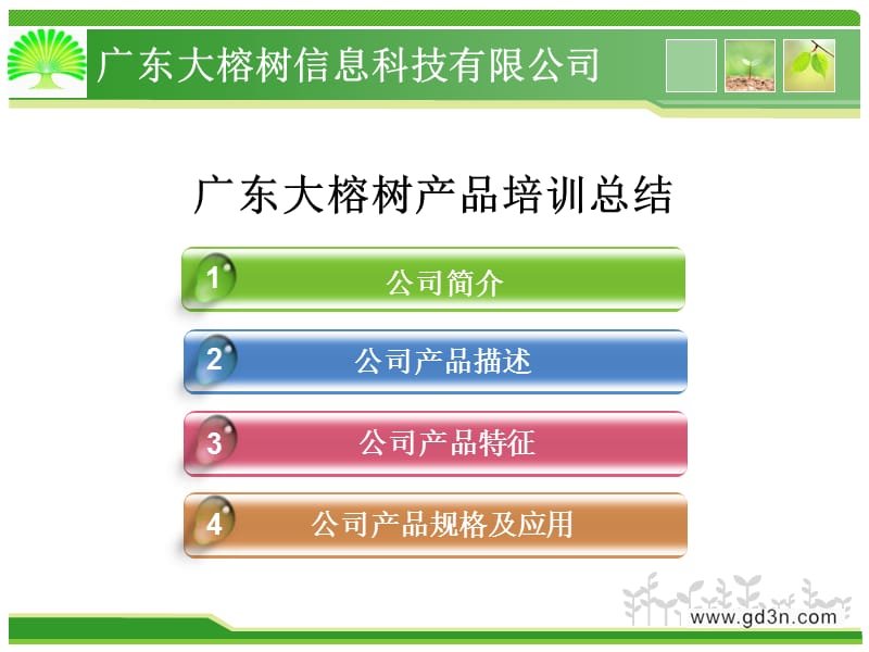 广东大榕树产品总结.ppt_第2页