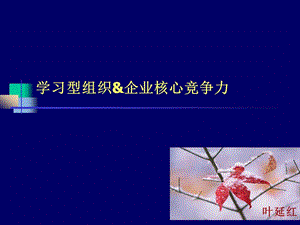 學習型組織企業(yè)核心競爭力[教材].ppt