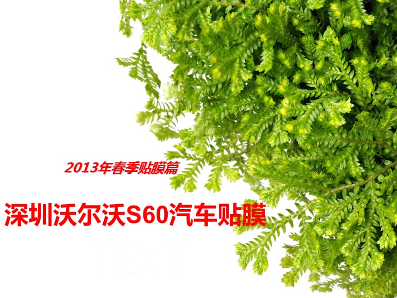 沃尔沃贴膜-深圳沃尔沃S60汽车贴膜.ppt_第1页