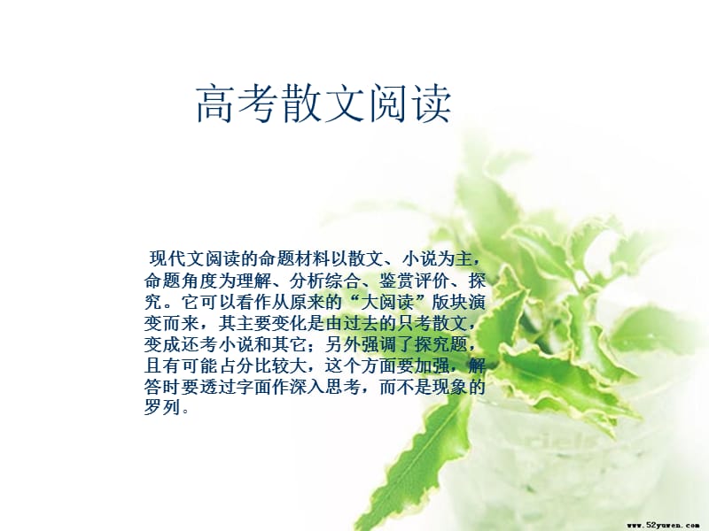 现代文阅读之如何形成正确的答案.ppt_第1页