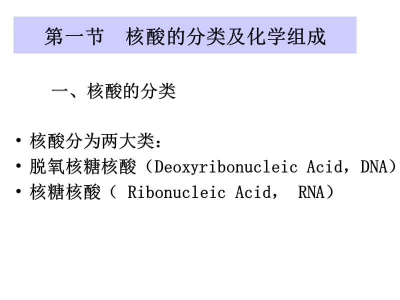 生物大分子的结构与功能(核酸篇)课件.ppt_第2页