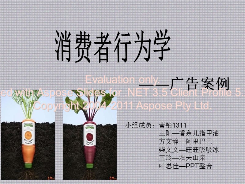 消费者行为学广告分析.ppt_第1页