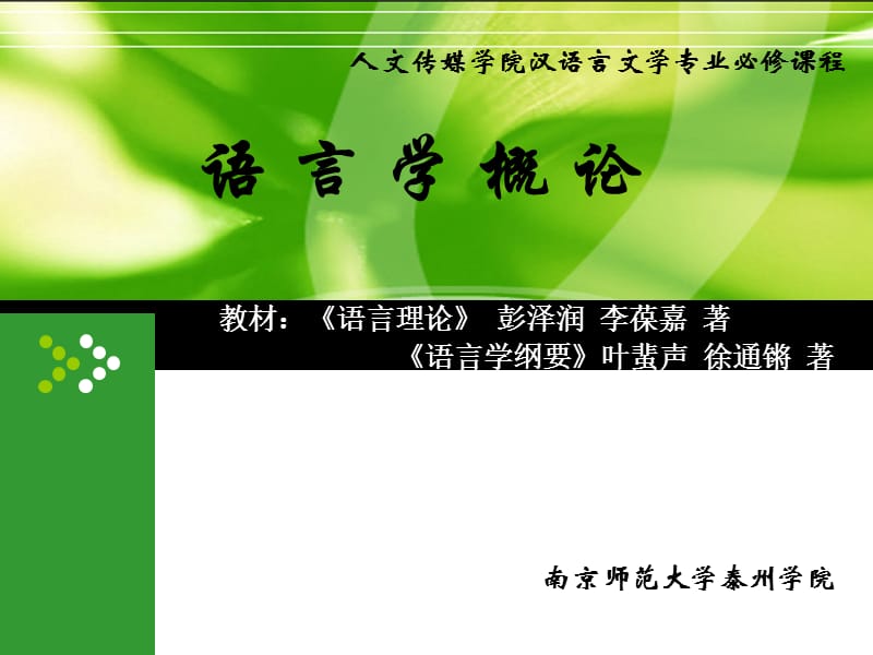 汉语言文学专业语言学课件.ppt_第1页