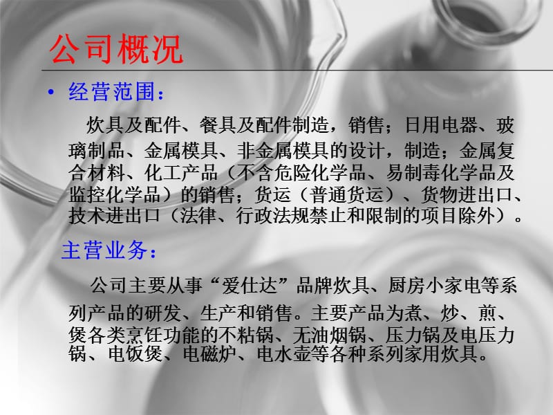 爱仕达资产负债表分析-l李超.ppt_第3页