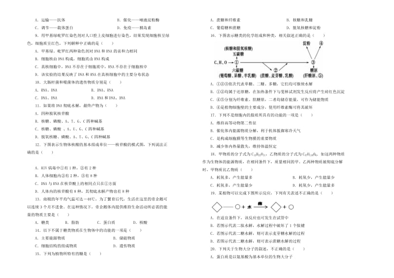 2018-2019学年高中生物 第二单元 组成细胞的分子训练卷（二）新人教版必修1.doc_第2页