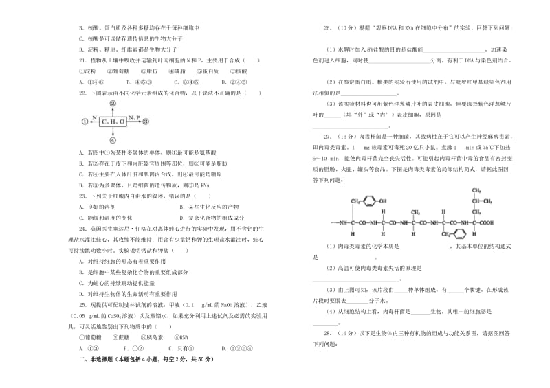 2018-2019学年高中生物 第二单元 组成细胞的分子训练卷（二）新人教版必修1.doc_第3页