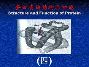 蛋白质结构与功能.ppt