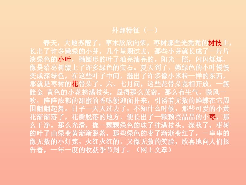 六年级语文上册 习作五 介绍家长的一种特产作文课件4 苏教版.ppt_第3页