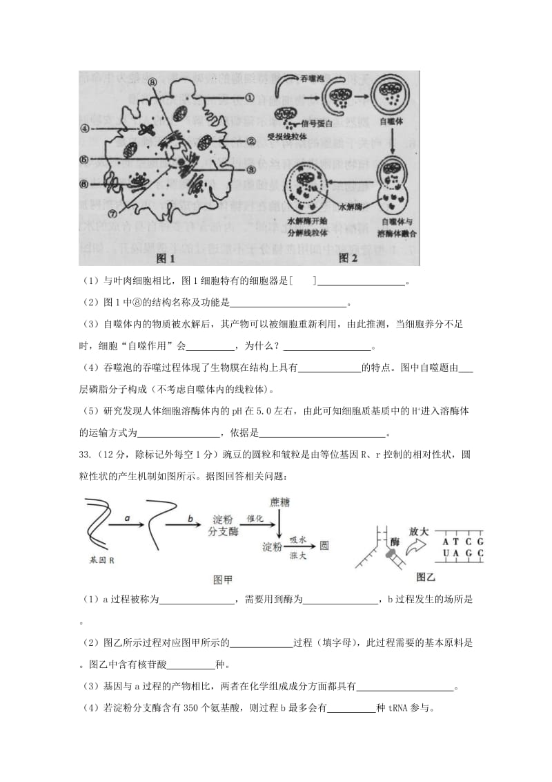 2018-2019学年高二生物上学期开学考试试题 (I).doc_第3页