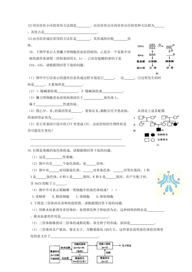 2019-2020学年高二生物寒假学考复习题6.doc_第3页