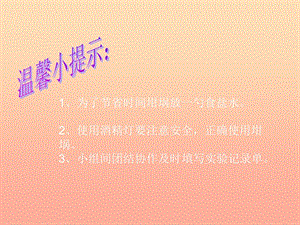 六年級科學(xué)上冊 食鹽和水泥課件9 青島版.ppt