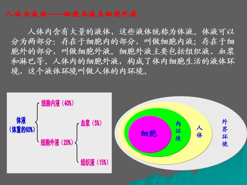 高中生物核心概念高考复习课件-内环境.ppt_第2页