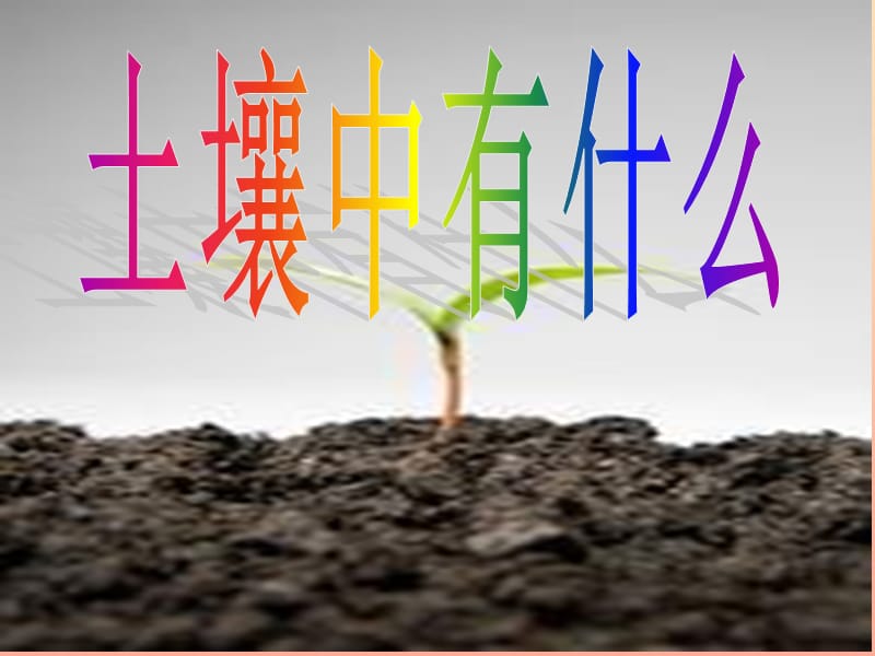 三年級科學(xué)下冊 三 植物生活的土地 1《土壤里有什么》課件2 新人教版.ppt_第1頁