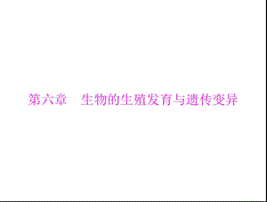 部分第六章第一講生物的生殖和發(fā)育[配套課件].ppt