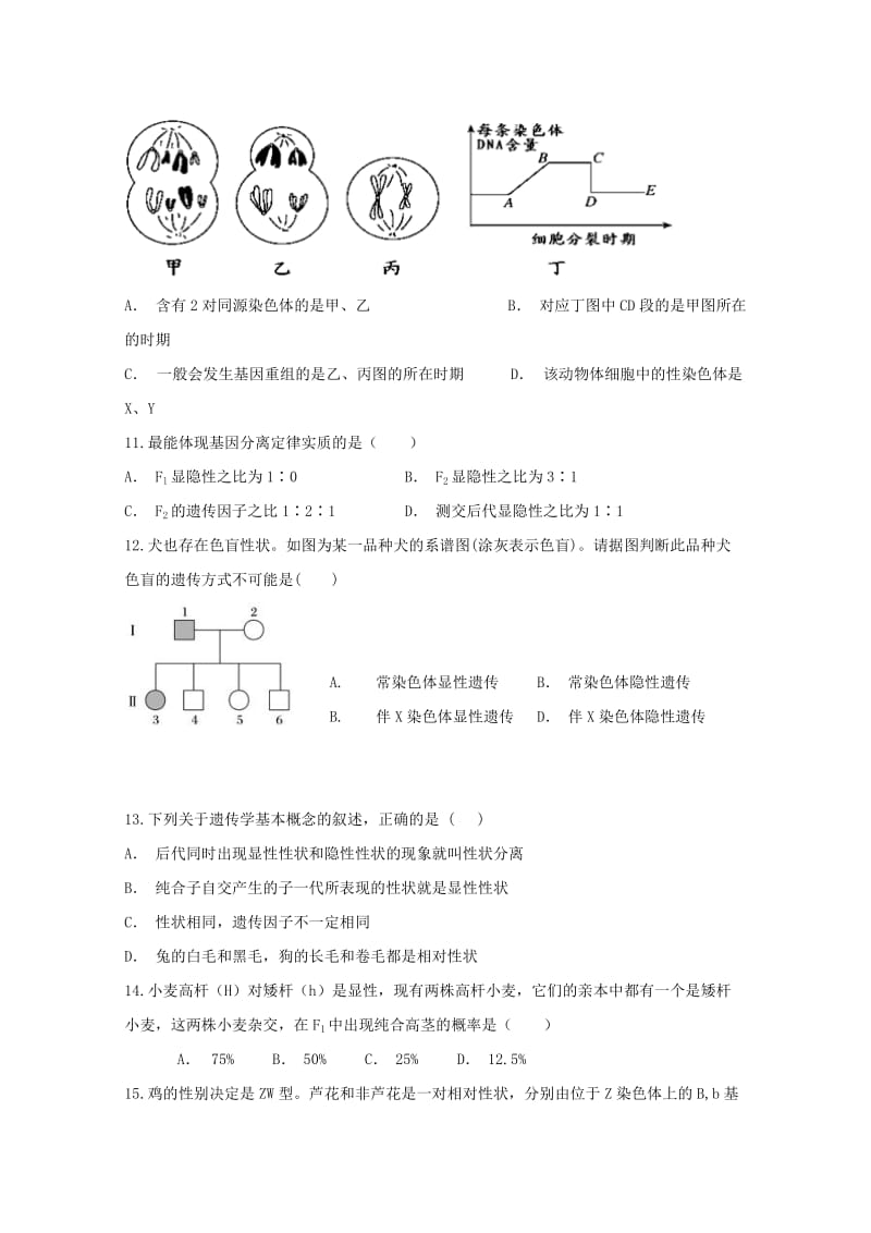 2019-2020学年高一生物下学期期中试题（B卷） (I).doc_第3页