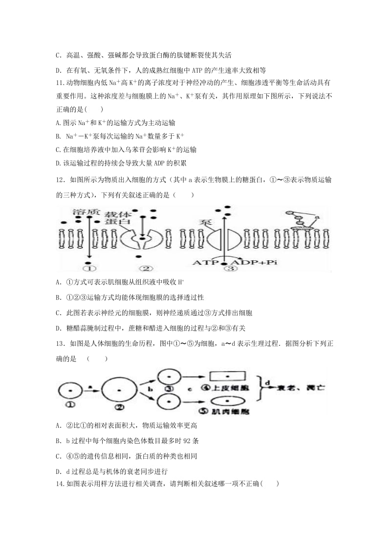 2018届高三生物第一次联考试题.doc_第3页