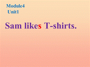 二年级英语上册Module4Unit1SamlikeT_shirts课件2外研版一起.ppt