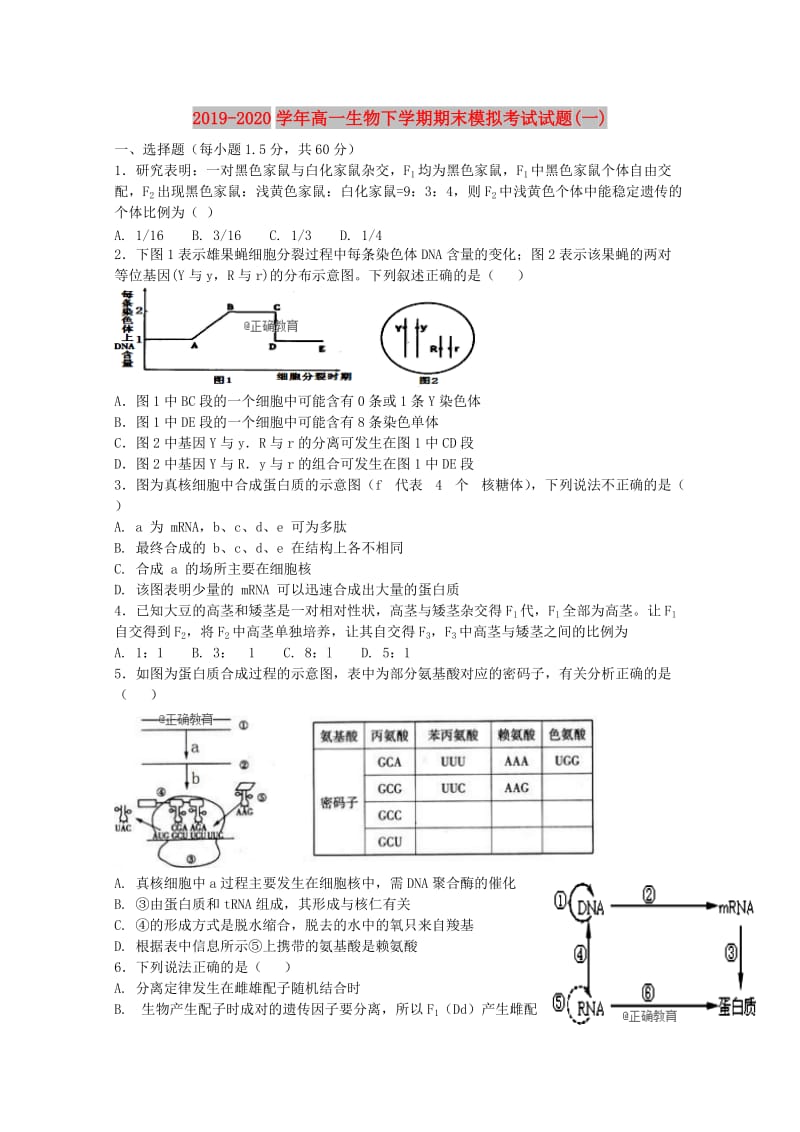 2019-2020学年高一生物下学期期末模拟考试试题(一).doc_第1页