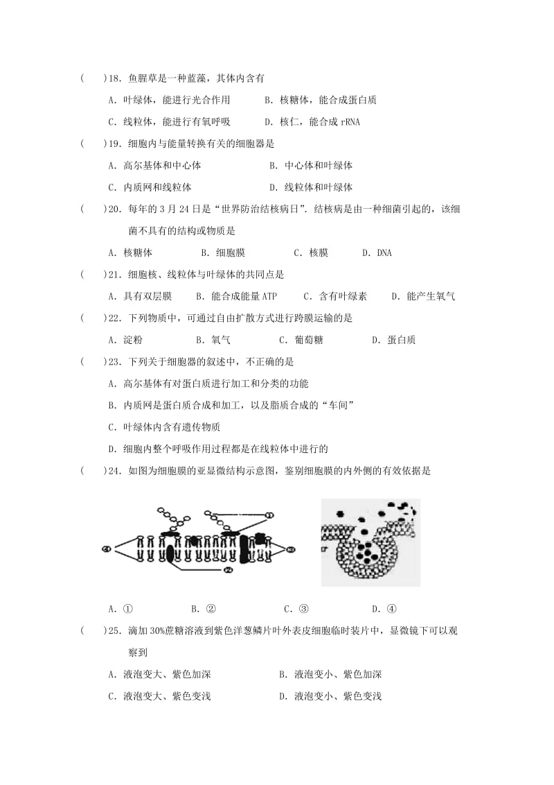 2019-2020学年高一生物上学期期中试题.doc_第3页