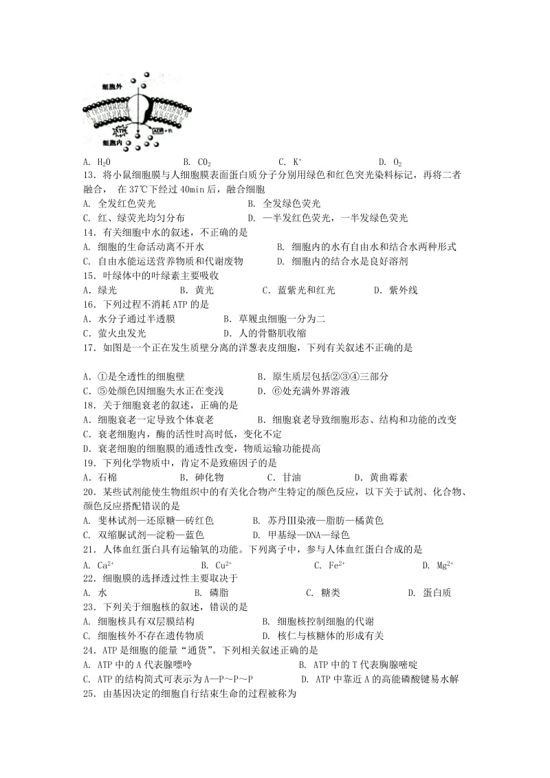 2019-2020学年高二生物下学期第二学段考试试题文.doc_第2页