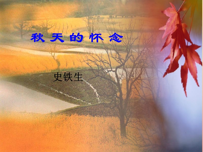 六年級(jí)語(yǔ)文下冊(cè) 第6單元 14《秋天的懷念》課件6 語(yǔ)文A版.ppt_第1頁(yè)