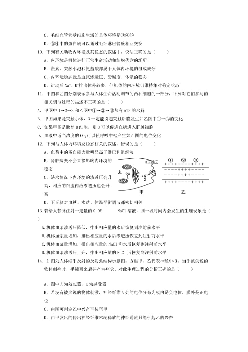 2019-2020学年高二生物上学期半期考试试题 (II).doc_第3页