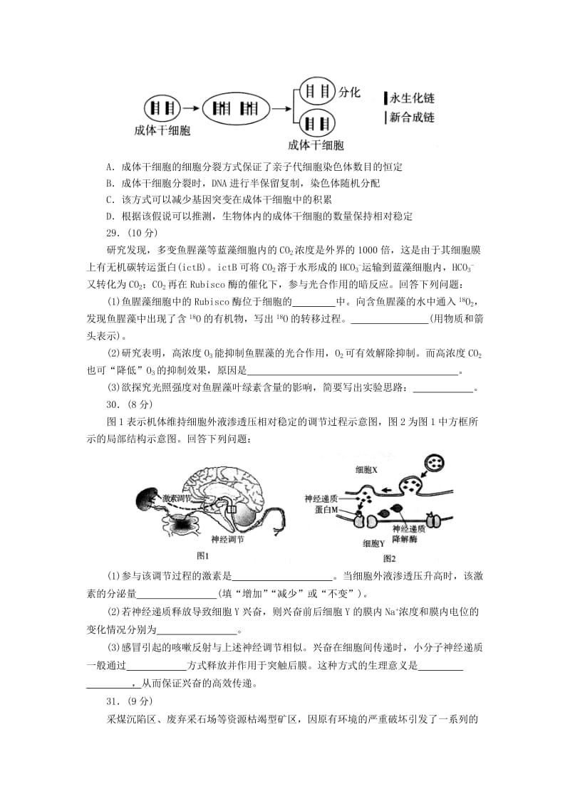 山东省临沂市2018届高考生物第三次模拟考试试题.doc_第2页