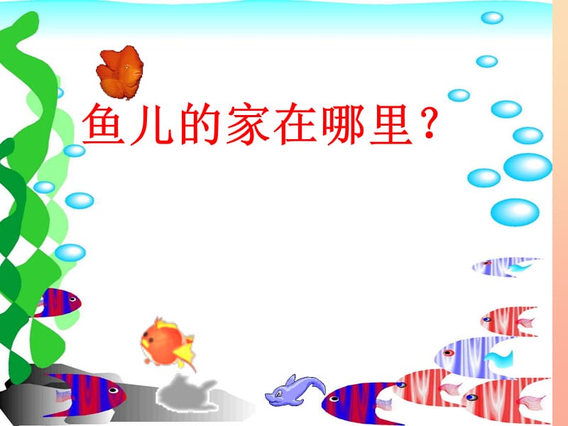 2019秋四年級(jí)科學(xué)上冊(cè) 3.1《魚兒的家》課件1 大象版.ppt_第1頁(yè)