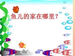 2019秋四年級科學(xué)上冊 3.1《魚兒的家》課件1 大象版.ppt