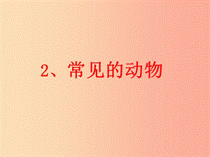 三年級科學(xué)上冊 2.2 常見的動物課件3 湘教版.ppt