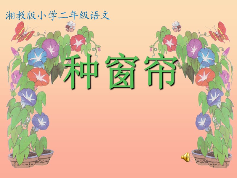 二年級(jí)語(yǔ)文上冊(cè) 第四單元 種窗簾課件2 湘教版.ppt_第1頁(yè)