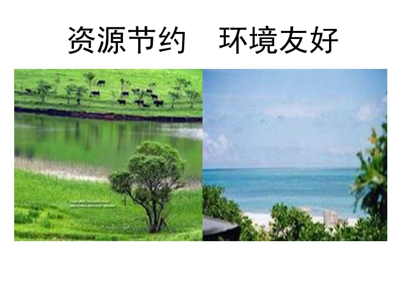 資源節(jié)約環(huán)境友好.ppt_第1頁