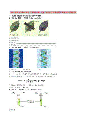 2019版高考生物一輪復(fù)習(xí) 例題講解 專題 與光合作用有關(guān)的實(shí)驗(yàn)分析與設(shè)計(jì)學(xué)案.doc