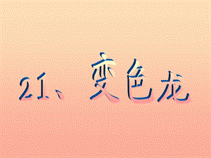 六年級(jí)科學(xué)上冊(cè) 變色龍課件1 青島版.ppt