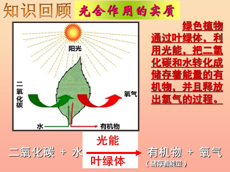 六年級生物下冊 第三單元 第五章 呼吸作用消耗氧氣釋放二氧化碳教學(xué)課件 魯科版（五四制）.ppt_第1頁