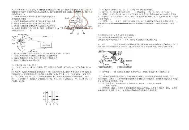 2019-2020学年高二生物上学期期中联考试题.doc_第3页