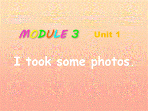 2019春六年級英語下冊 Module 3 Unit 1《I took some photos》課件3 （新版）外研版.ppt