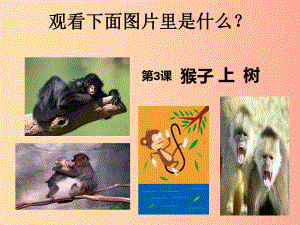 二年级美术下册 第21课《猴子上树》课件3 湘美版.ppt