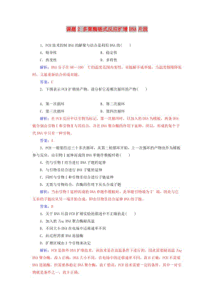 2018-2019學(xué)年高中生物 專題5 DNA和蛋白質(zhì)技術(shù) 課題2 多聚酶鏈?zhǔn)椒磻?yīng)擴(kuò)增DNA片段練習(xí) 新人教版選修1 .doc