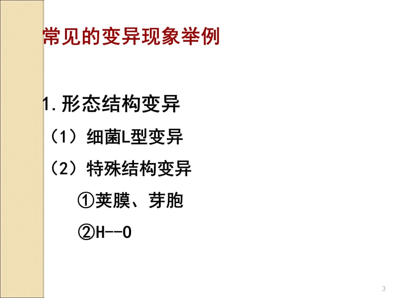 细菌的遗传变异ppt课件_第3页