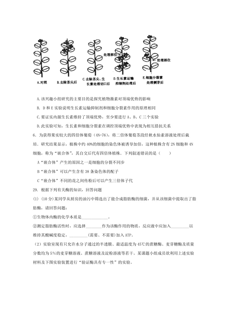 2019届高三生物全真模拟试题一.doc_第2页