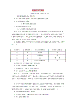 2018-2019年高中生物 第三章 遺傳的分子基礎(chǔ)章末小結(jié)與測評教學(xué)案 浙科版必修2.doc