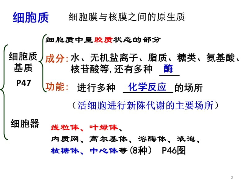 细胞器一轮复习上课ppt课件_第3页