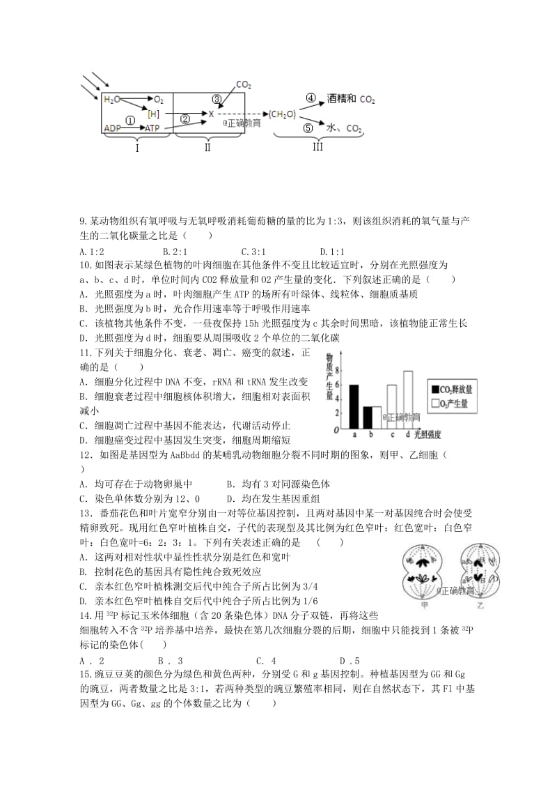 2019届高三生物上学期期初(8月)考试试题.doc_第3页