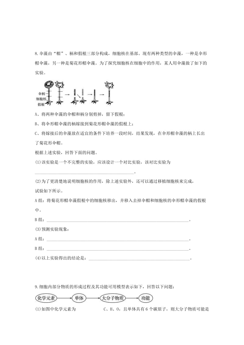 2019届高三生物复习检测试题(一).doc_第3页